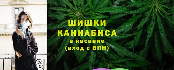 индика Верея